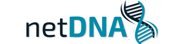 NetDNA Services